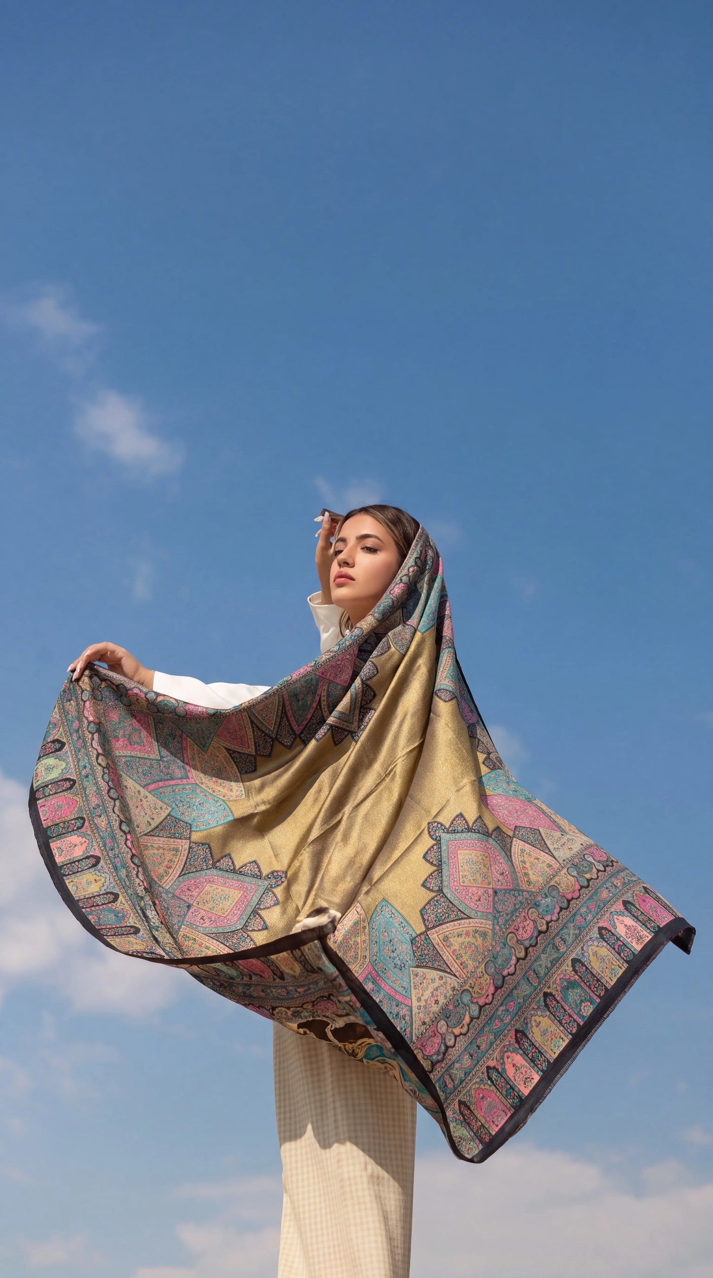 Golden Heritage Moonlight Zari Shawl